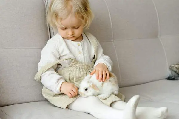 Rabbit lying on a kid’s lap