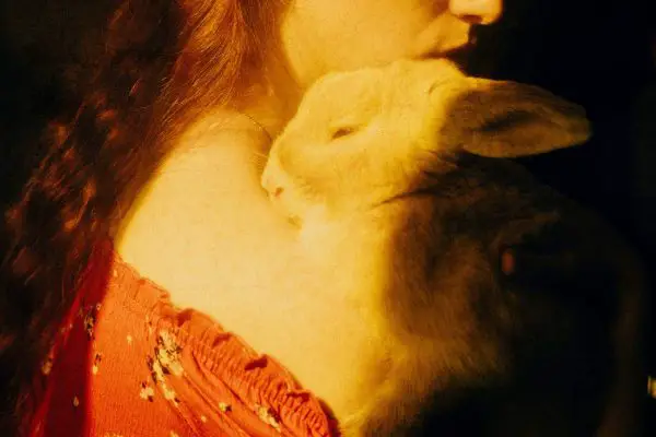 Rabbit on woman’s shoulder