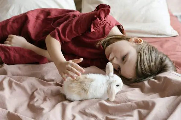 White rabbit on the bed
