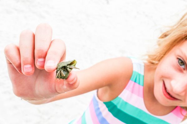 Child holds a hermit crab