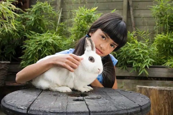 Girl with pet rabbit