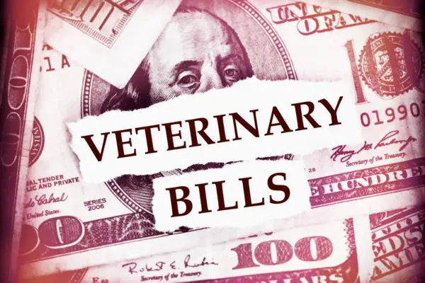 Veterinary bills